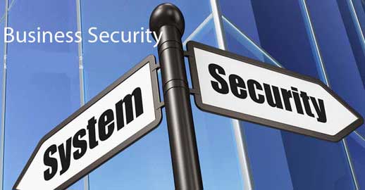 Business Security System Contractors